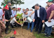 দেশব্যাপী ২৫ কোটি বৃক্ষরোপণ কর্মসূচির উদ্বোধন করলেন প্রধানমন্ত্রী