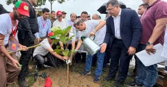 দেশব্যাপী ২৫ কোটি বৃক্ষরোপণ কর্মসূচির উদ্বোধন করলেন প্রধানমন্ত্রী