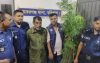 বাকেরগঞ্জে গাঁজার গাছসহ মাদক ব্যবসায়ী গ্রেপ্তার