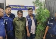 বাকেরগঞ্জে গাঁজার গাছসহ মাদক ব্যবসায়ী গ্রেপ্তার