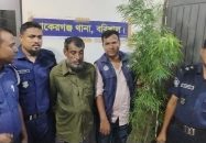 বাকেরগঞ্জে গাঁজার গাছসহ মাদক ব্যবসায়ী গ্রেপ্তার
