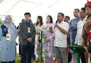 বছরে অন্তত একটি করে গাছ লাগানোর অভ্যাস গড়তে হবে: প্রধানমন্ত্রী