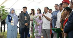 বছরে অন্তত একটি করে গাছ লাগানোর অভ্যাস গড়তে হবে: প্রধানমন্ত্রী