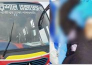 গৌরনদীতে বাস ও মাহেন্দ্রার সংঘর্ষে নারী নিহত