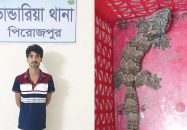 ভাণ্ডারিয়ায় তক্ষকসহ বন্যপ্রাণী পাচারচক্রের মূল হোতা সুমন আটক
