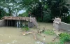 গৌরনদীতে ঢালাইয়ের পরপরই ধ্বসে পড়লো ব্রিজের পাটাতন