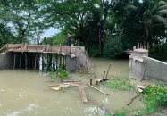গৌরনদীতে ঢালাইয়ের পরপরই ধ্বসে পড়লো ব্রিজের পাটাতন