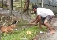 পটুয়াখালীতে কুকুর পিটিয়ে হত্যার অভিযোগে মামলা, গ্রেফতারি পরোয়ানা