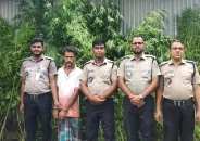পাটক্ষেতে গাঁজা চাষ, গ্রেপ্তার ১
