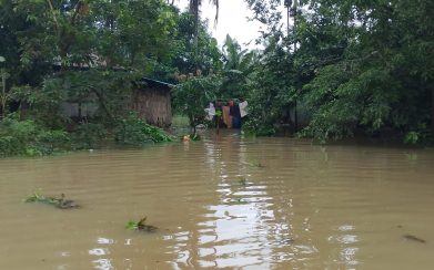 টানা বর্ষণে চরফ্যাশনে ফসল ও মাছের ব্যাপক ক্ষতি, বিপর্যস্ত জনজীবন