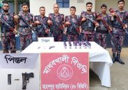 জীবননগর সীমান্তে বিজিবির অভিযান, বিদেশি পিস্তল ও মাদক উদ্ধার