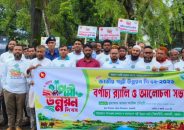 আমতলীতে ব্যাপক আয়োজনে পল্লী উন্নয়ন দিবস পালিত
