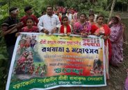 উজিরপুরে ধর্মীয় ভাবগাম্ভীর্য ও উৎসবমুখর পরিবেশে রথযাত্রা অনুষ্ঠিত