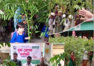 খয়রাবাদে শিক্ষার্থীদের মাঝে গাছের চারা বিতরণ করলো আনোয়ারা আশ্রাফ ওয়েলফেয়ার ফাউন্ডেশন