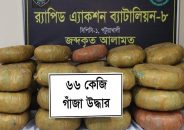 দুমকিতে ৬৬ কেজি গাঁজা জব্দ
