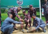 পানছড়িতে বিজিবির বৃক্ষরোপণ কর্মসূচি উদ্বোধন
