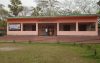 উজিরপুরে মন্দিরের জমি দখলের অভিযোগ, গাছ কাটার ঘটনায় থানায় লিখিত অভিযোগ