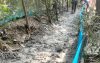 বাকেরগঞ্জে গাছ কেটে অন্যের জমি দখল করে রাস্তা নির্মাণের অভিযোগ