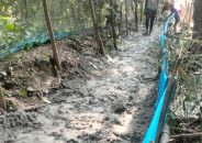 বাকেরগঞ্জে গাছ কেটে অন্যের জমি দখল করে রাস্তা নির্মাণের অভিযোগ