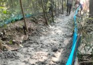 বাকেরগঞ্জে গাছ কেটে অন্যের জমি দখল করে রাস্তা নির্মাণের অভিযোগ