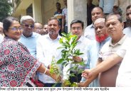 গৌরনদীতে শিক্ষা প্রতিষ্ঠানে দুই হাজার গাছের চারা বিতরন