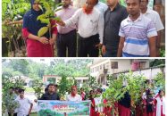শিক্ষার্থীদের মাঝে গাছের চারা বিতরণ করলো খয়রাবাদ যুব ক্লাব