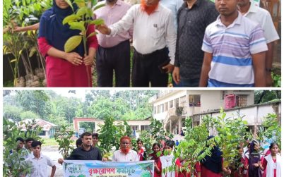 শিক্ষার্থীদের মাঝে গাছের চারা বিতরণ করলো খয়রাবাদ যুব ক্লাব