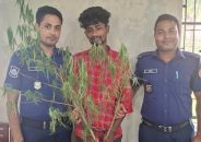 কাউখালীতে গাঁজা গাছসহ মাদক ব্যবসায়ী গ্রেফতার
