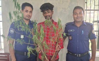 কাউখালীতে গাঁজা গাছসহ মাদক ব্যবসায়ী গ্রেফতার