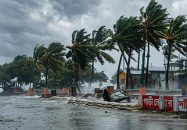 বরিশালসহ দেশের ১৯ জেলায় রাতের মধ্যে ঝড়ের শঙ্কা