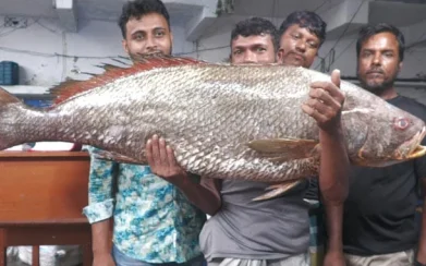 বাগেরহাটে এক মাছ বিক্রি হলো সাড়ে ৩ লাখ টাকায়