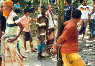 ফ্যামিলি কার্ড দেওয়ার কথা বলে তালতলীতে বৃদ্ধাকে ধর্ষণের অভিযোগ, যুবক আটক