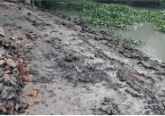 উজিরপুরে উদ্বোধনের দুই মাসেই বেহাল ৭৫ লাখের সড়ক, উঠছে পিচ-পাথর! 