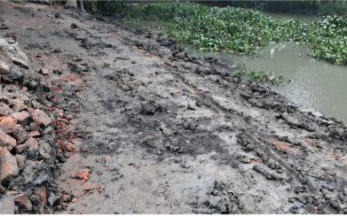 উজিরপুরে উদ্বোধনের দুই মাসেই বেহাল ৭৫ লাখের সড়ক, উঠছে পিচ-পাথর! 