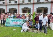 গৌরনদীতে বার্থী ডিগ্রি কলেজে বৃক্ষরোপণ কর্মসূচি পালন