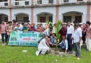 গৌরনদীতে বার্থী ডিগ্রি কলেজে বৃক্ষরোপণ কর্মসূচি পালন
