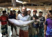 জেলের জালে ধরা পড়ল ২৯ কেজির টুনা মাছ, ৪০ হাজার টাকায় বিক্রি
