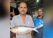এক ইলিশের দাম ৫ হাজার টাকা
