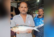 এক ইলিশের দাম ৫ হাজার টাকা