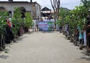তালতলীতে শিক্ষার্থীদের মাঝে গাছের চারা বিতরণ