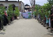 তালতলীতে শিক্ষার্থীদের মাঝে গাছের চারা বিতরণ