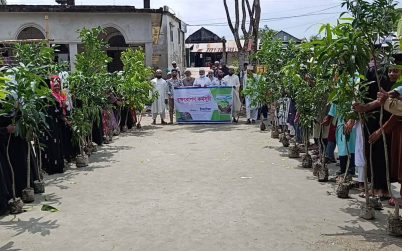 তালতলীতে শিক্ষার্থীদের মাঝে গাছের চারা বিতরণ