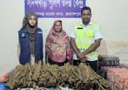 ৭ কেজি গাঁজাসহ নারী গ্রেপ্তার