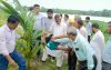 বাকেরগঞ্জ পৌরসভার উদ্যোগে বৃক্ষরোপণ কর্মসূচির উদ্বোধন