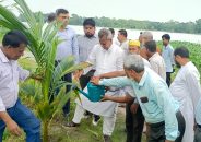 বাকেরগঞ্জ পৌরসভার উদ্যোগে বৃক্ষরোপণ কর্মসূচির উদ্বোধন