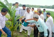 বাকেরগঞ্জ পৌরসভার উদ্যোগে বৃক্ষরোপণ কর্মসূচির উদ্বোধন