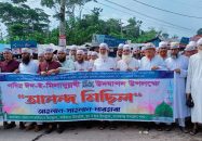 পবিত্র ঈদে মিলাদুন্নবী উপলক্ষে বাকেরগঞ্জে আনন্দ র‍্যালি