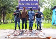 বরগুনায় ১৭ লাখ টাকার নিষিদ্ধ শাপলা পাতা-গিটার মাছ জব্দ