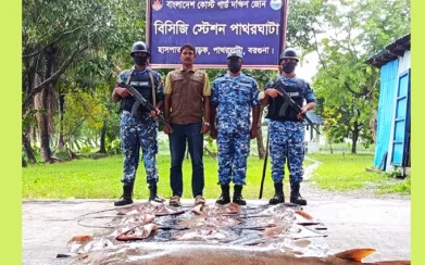 বরগুনায় ১৭ লাখ টাকার নিষিদ্ধ শাপলা পাতা-গিটার মাছ জব্দ