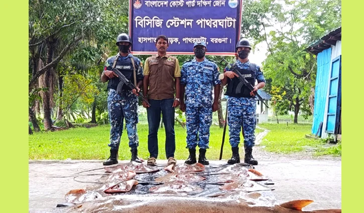 বরগুনায় ১৭ লাখ টাকার নিষিদ্ধ শাপলা পাতা-গিটার মাছ জব্দ